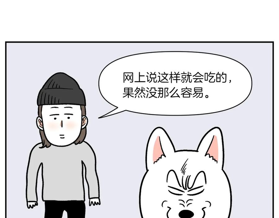 《我的狗子叫棉花》第5话 喂狗狗吃药片的方法 第17页