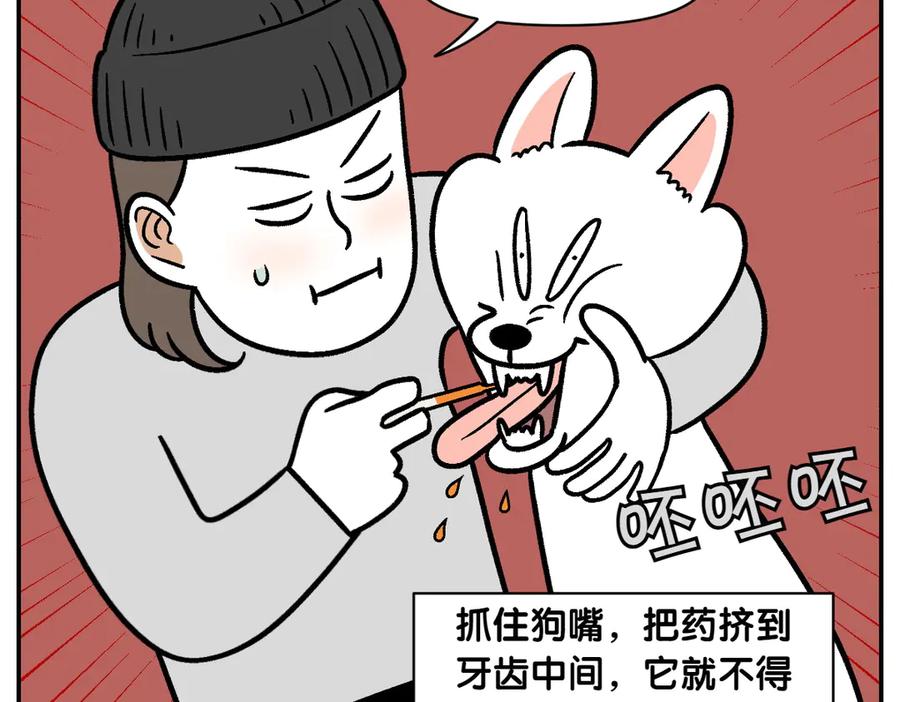 《我的狗子叫棉花》第6话 喂狗狗吃药粉的方法 第27页