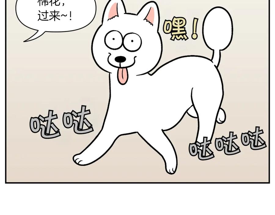 《我的狗子叫棉花》第6话 喂狗狗吃药粉的方法 第21页