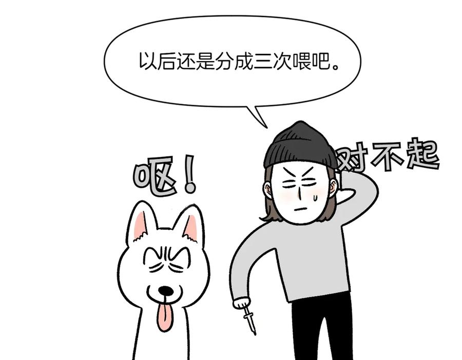 《我的狗子叫棉花》第6话 喂狗狗吃药粉的方法 第42页