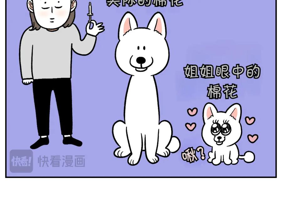 《我的狗子叫棉花》第6话 喂狗狗吃药粉的方法 第15页