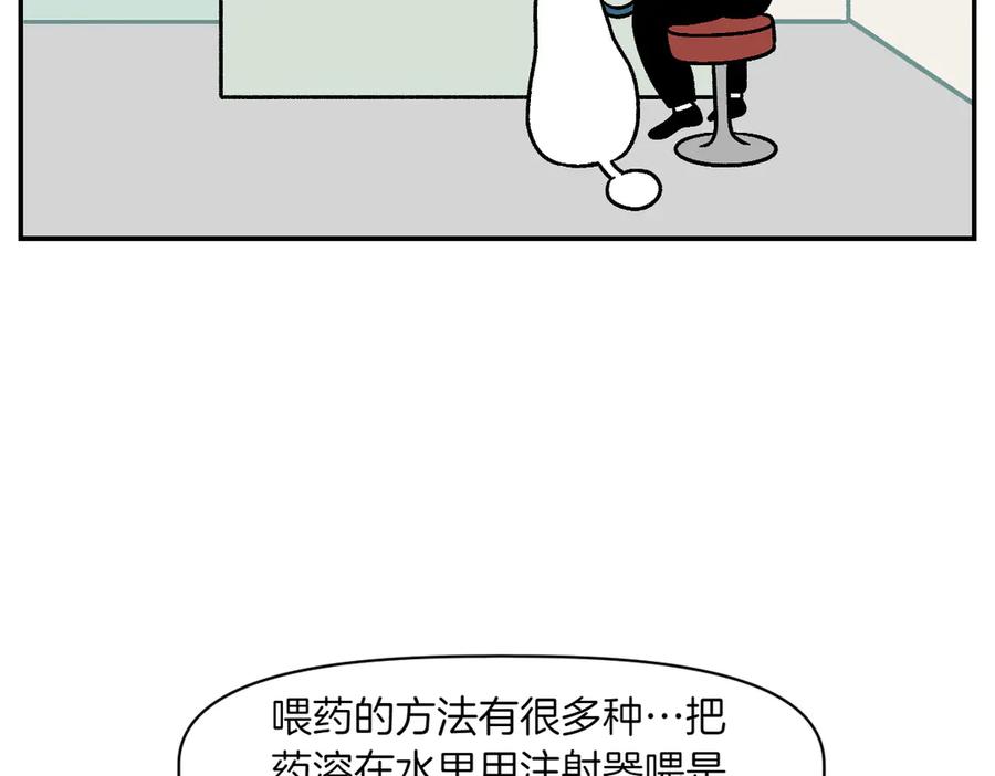 《我的狗子叫棉花》第6话 喂狗狗吃药粉的方法 第6页