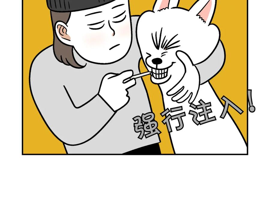 《我的狗子叫棉花》第6话 喂狗狗吃药粉的方法 第36页