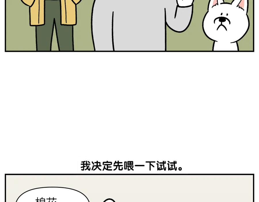 《我的狗子叫棉花》第6话 喂狗狗吃药粉的方法 第20页