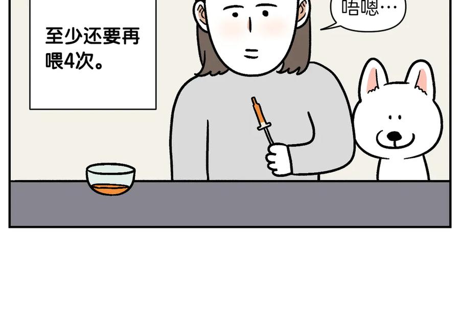 《我的狗子叫棉花》第6话 喂狗狗吃药粉的方法 第18页