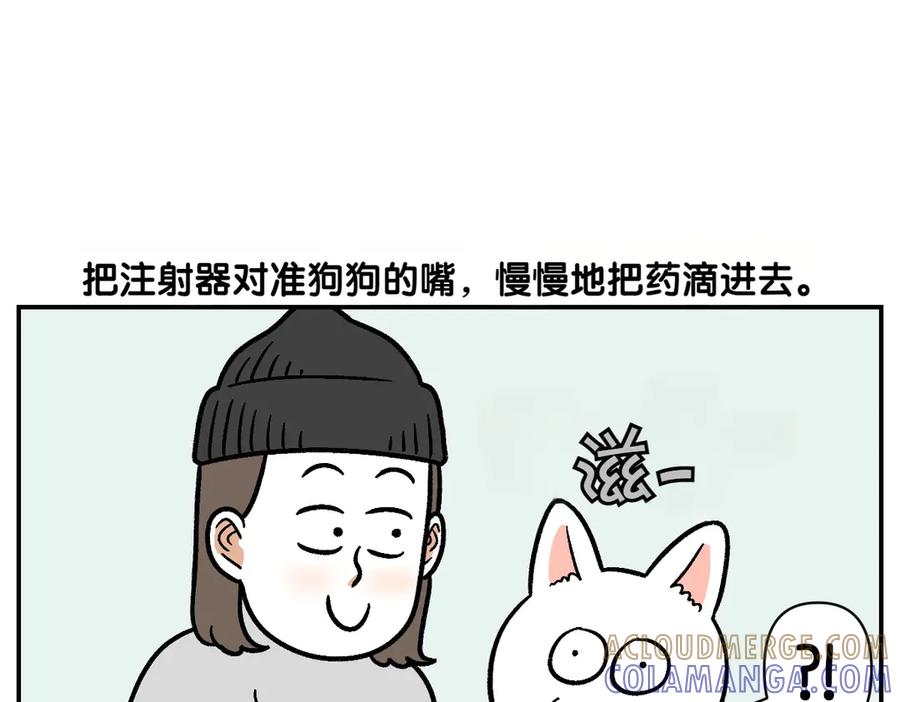 《我的狗子叫棉花》第6话 喂狗狗吃药粉的方法 第22页