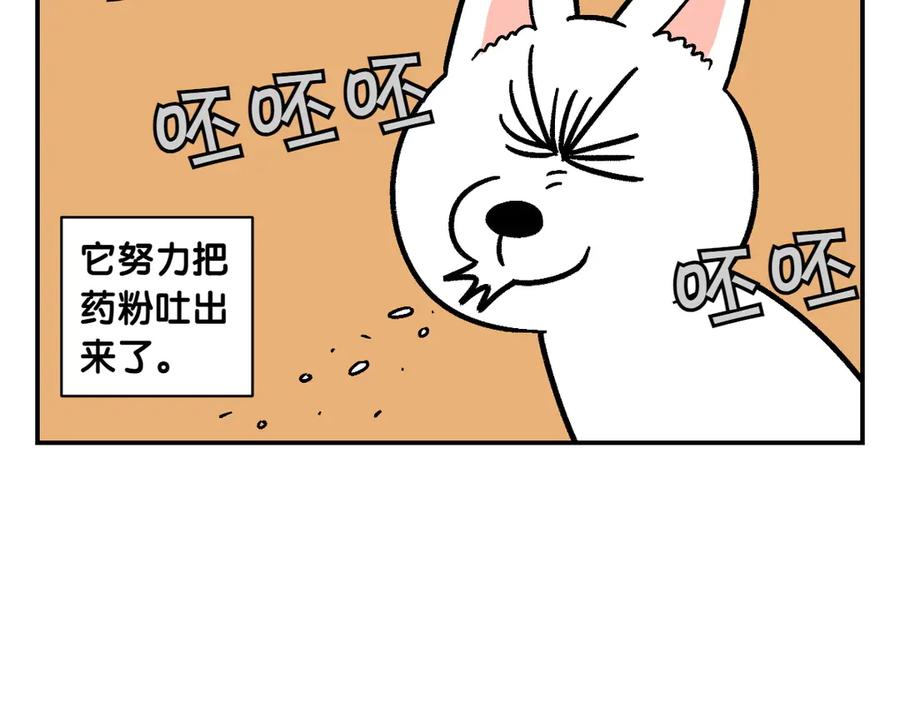 《我的狗子叫棉花》第7话 让药粉美味的方法 第48页