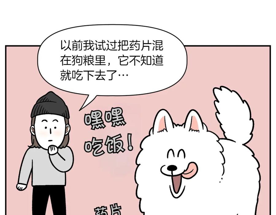 《我的狗子叫棉花》第7话 让药粉美味的方法 第5页