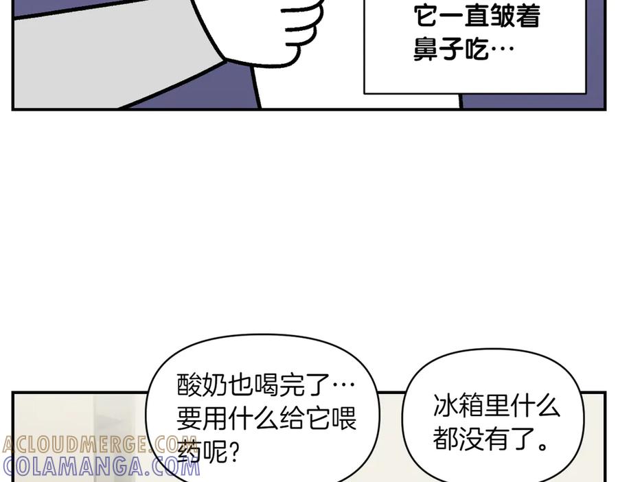 《我的狗子叫棉花》第7话 让药粉美味的方法 第37页