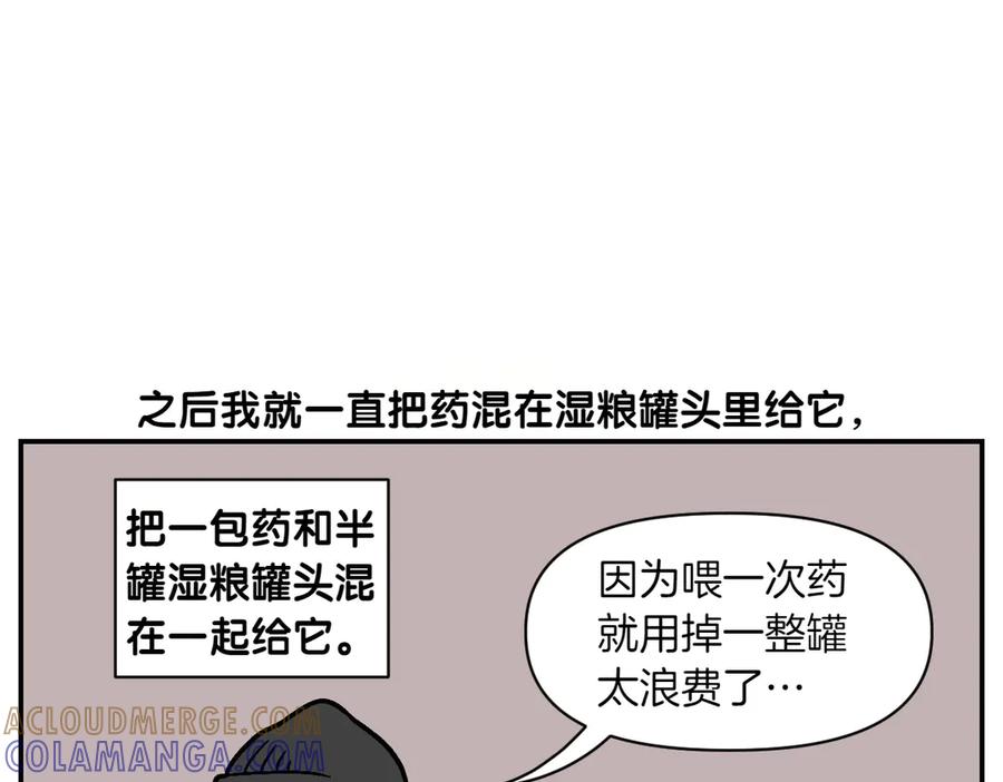 《我的狗子叫棉花》第7话 让药粉美味的方法 第25页