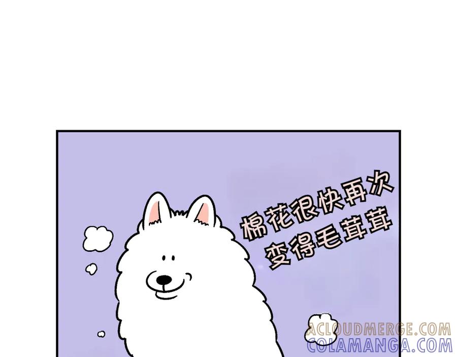 《我的狗子叫棉花》第7话 让药粉美味的方法 第52页