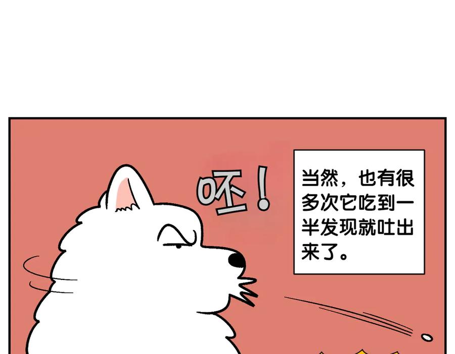 《我的狗子叫棉花》第7话 让药粉美味的方法 第9页