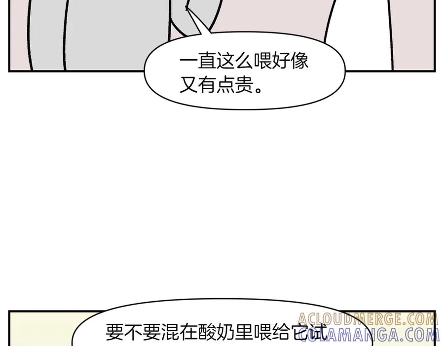 《我的狗子叫棉花》第7话 让药粉美味的方法 第28页