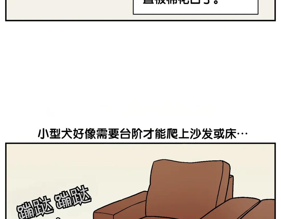 《我的狗子叫棉花》第8话 棉花的专属位置 第6页