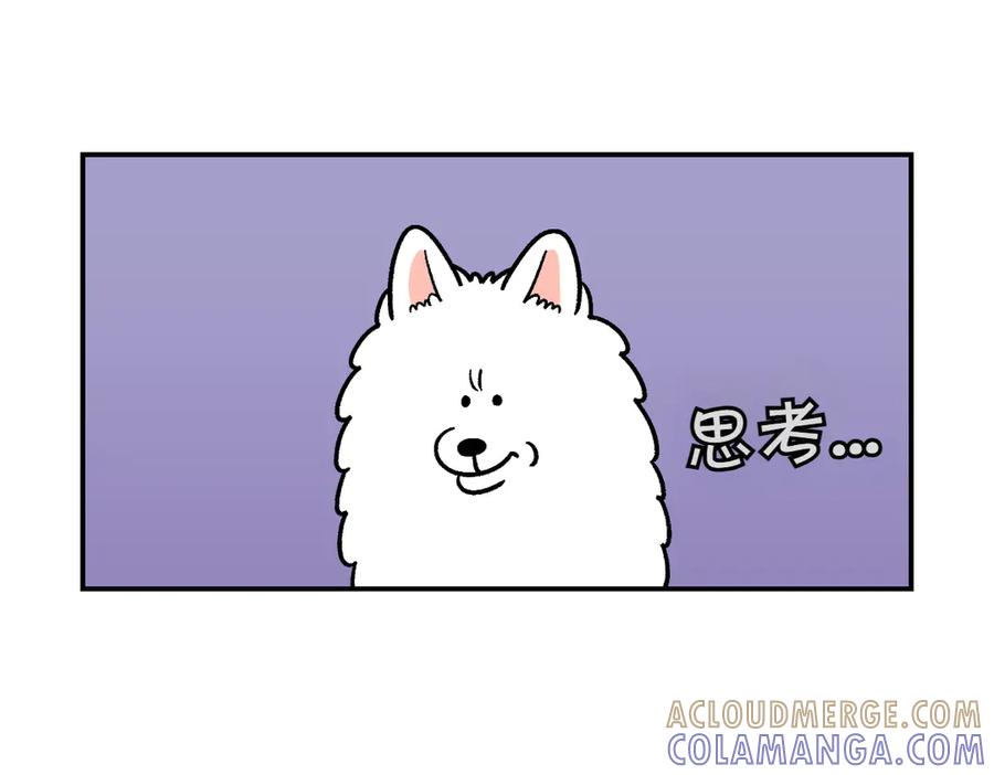 《我的狗子叫棉花》第8话 棉花的专属位置 第37页