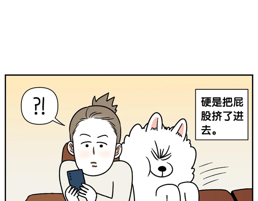 《我的狗子叫棉花》第8话 棉花的专属位置 第38页