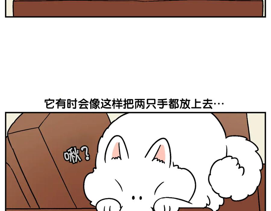 《我的狗子叫棉花》第8话 棉花的专属位置 第14页