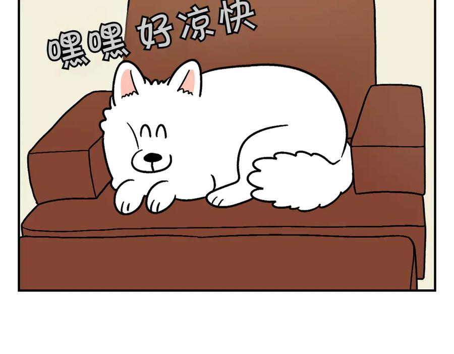 《我的狗子叫棉花》第8话 棉花的专属位置 第12页