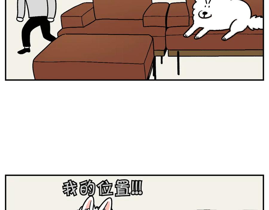 《我的狗子叫棉花》第8话 棉花的专属位置 第29页