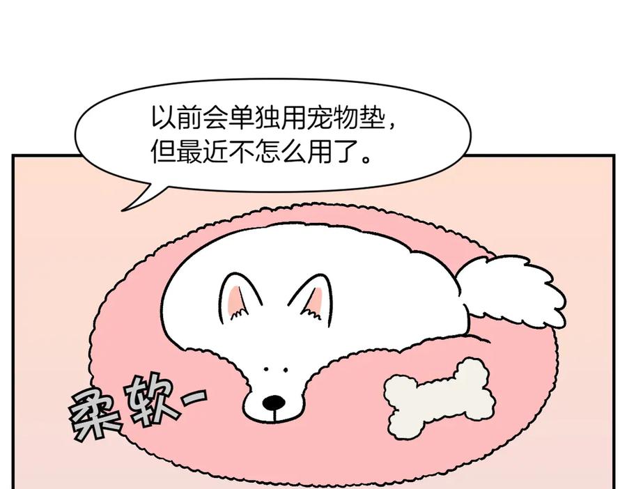 《我的狗子叫棉花》第8话 棉花的专属位置 第9页