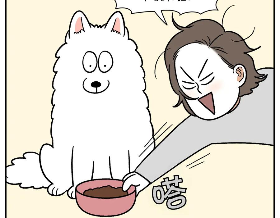 《我的狗子叫棉花》第9话 早间流程 第44页