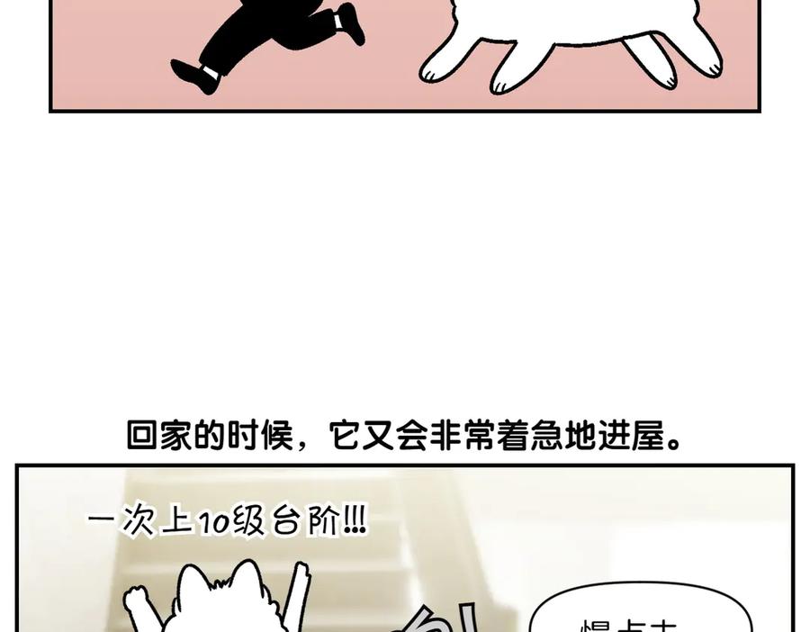 《我的狗子叫棉花》第9话 早间流程 第39页