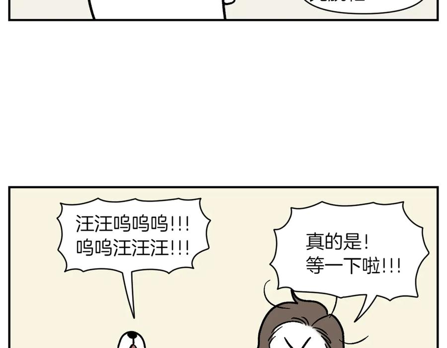 《我的狗子叫棉花》第9话 早间流程 第42页