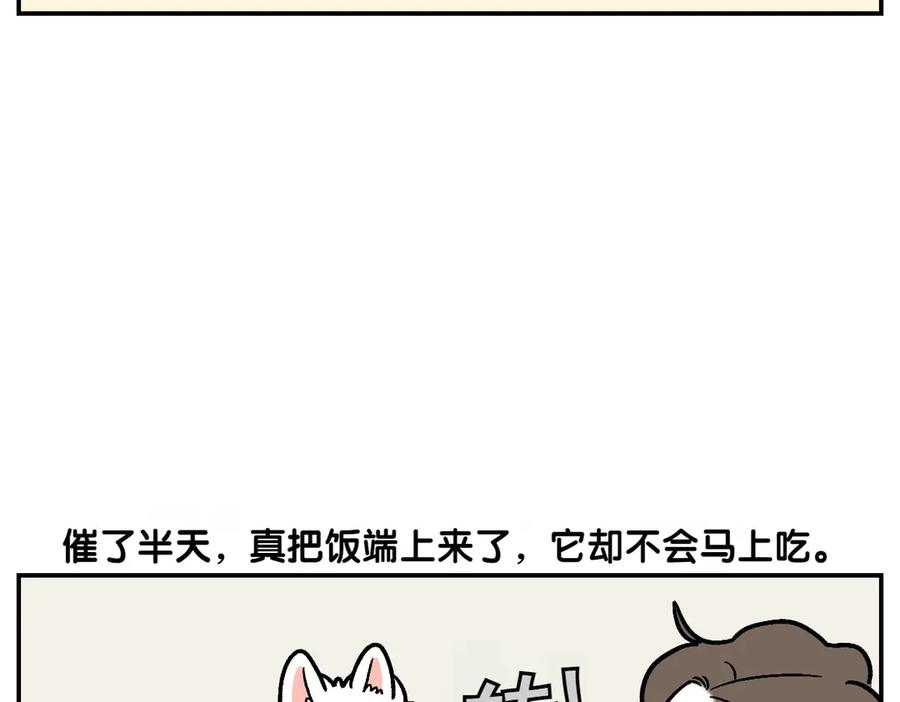 《我的狗子叫棉花》第9话 早间流程 第45页