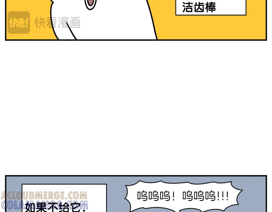 《我的狗子叫棉花》第10话 晚间流程 第37页