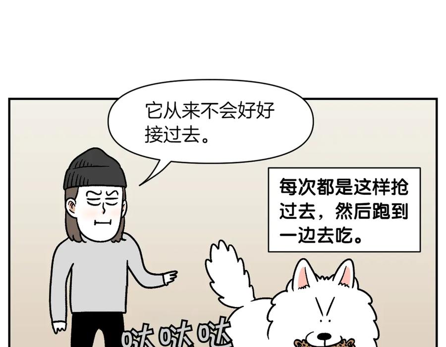 《我的狗子叫棉花》第10话 晚间流程 第42页
