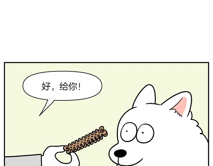 《我的狗子叫棉花》第10话 晚间流程 第39页