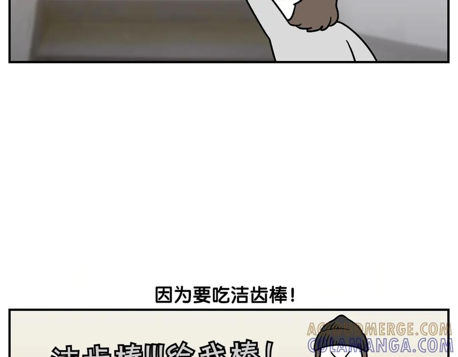 《我的狗子叫棉花》第10话 晚间流程 第34页