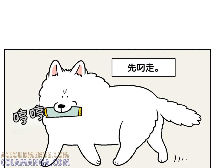 《我的狗子叫棉花》第11话 狗咬胶 第34页
