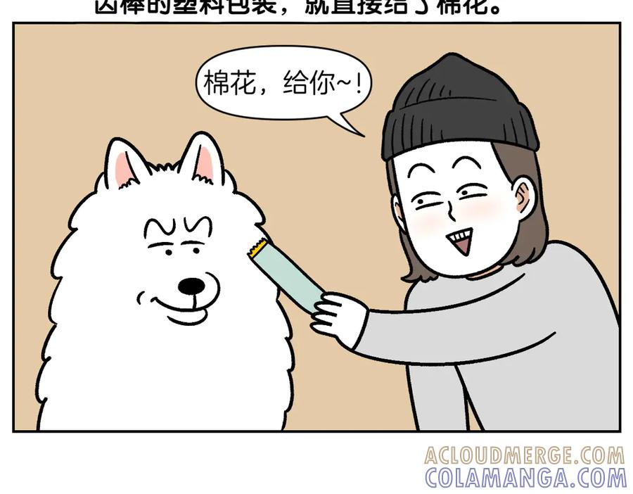 《我的狗子叫棉花》第11话 狗咬胶 第31页