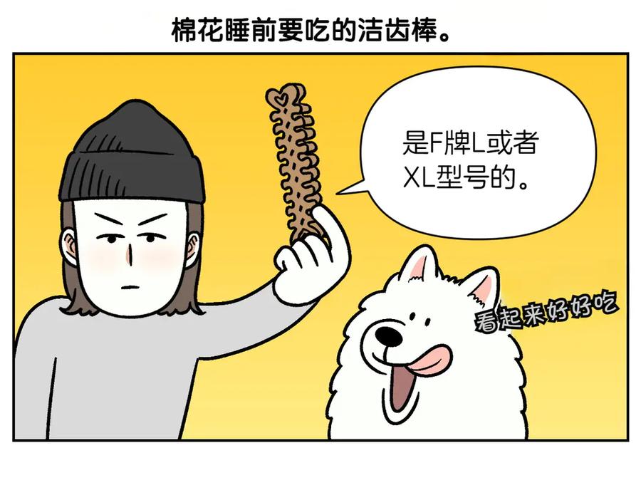 《我的狗子叫棉花》第11话 狗咬胶 第5页