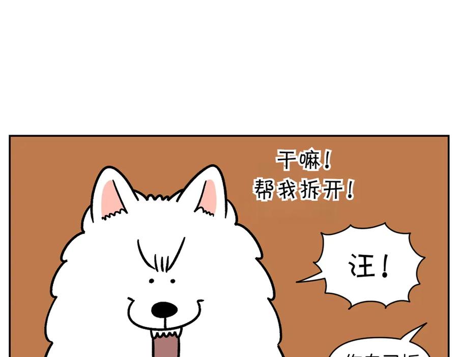 《我的狗子叫棉花》第11话 狗咬胶 第32页