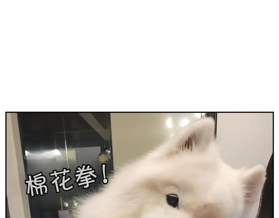 《我的狗子叫棉花》第11话 狗咬胶 第48页