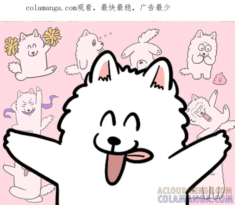 《我的狗子叫棉花》第11话 狗咬胶 第1页