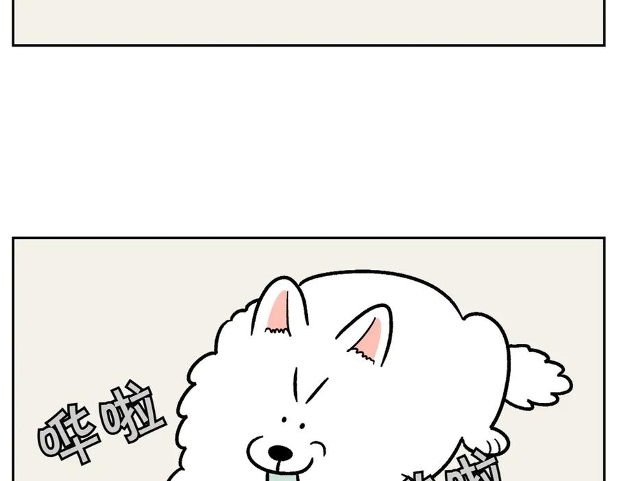 《我的狗子叫棉花》第11话 狗咬胶 第35页