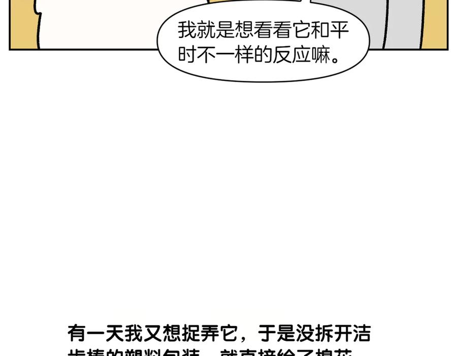 《我的狗子叫棉花》第11话 狗咬胶 第30页