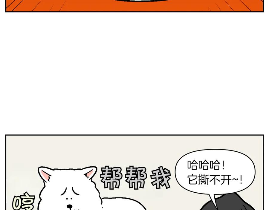 《我的狗子叫棉花》第11话 狗咬胶 第38页