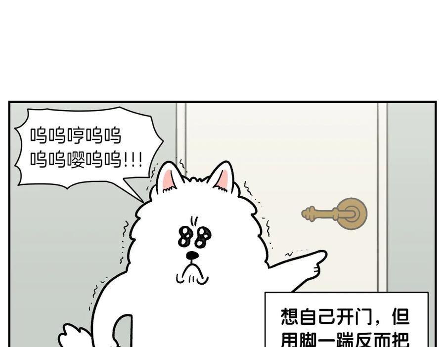 《我的狗子叫棉花》第12话 禁止关门 第53页