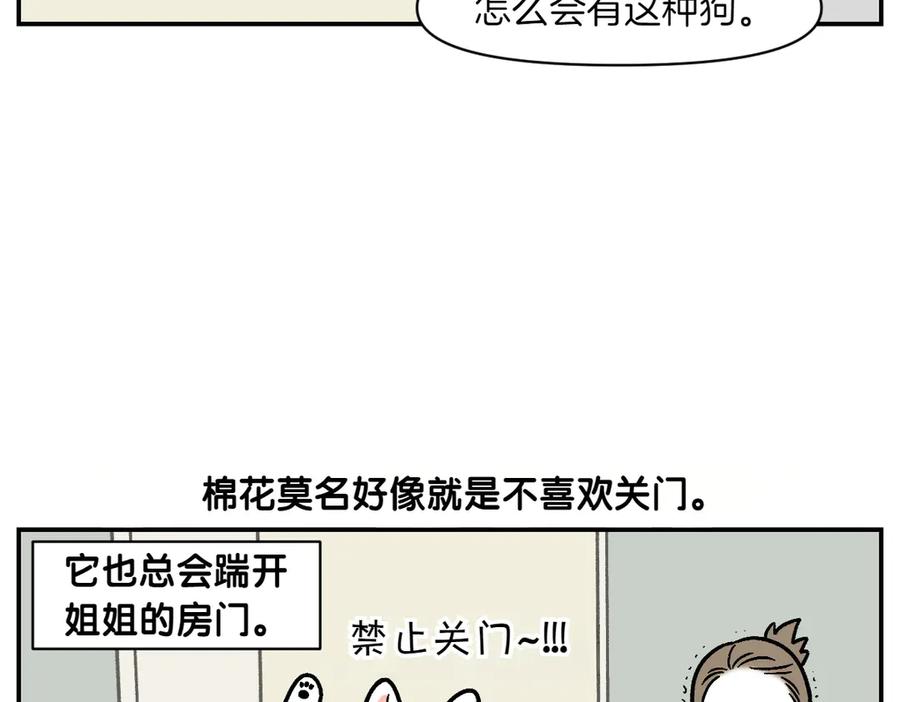 《我的狗子叫棉花》第12话 禁止关门 第35页