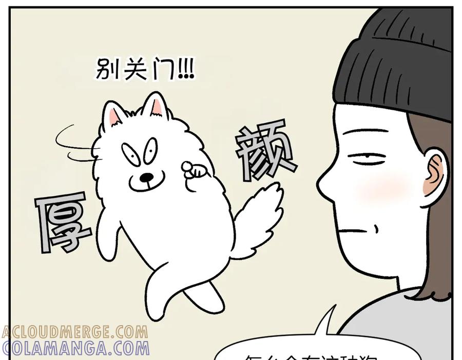 《我的狗子叫棉花》第12话 禁止关门 第34页
