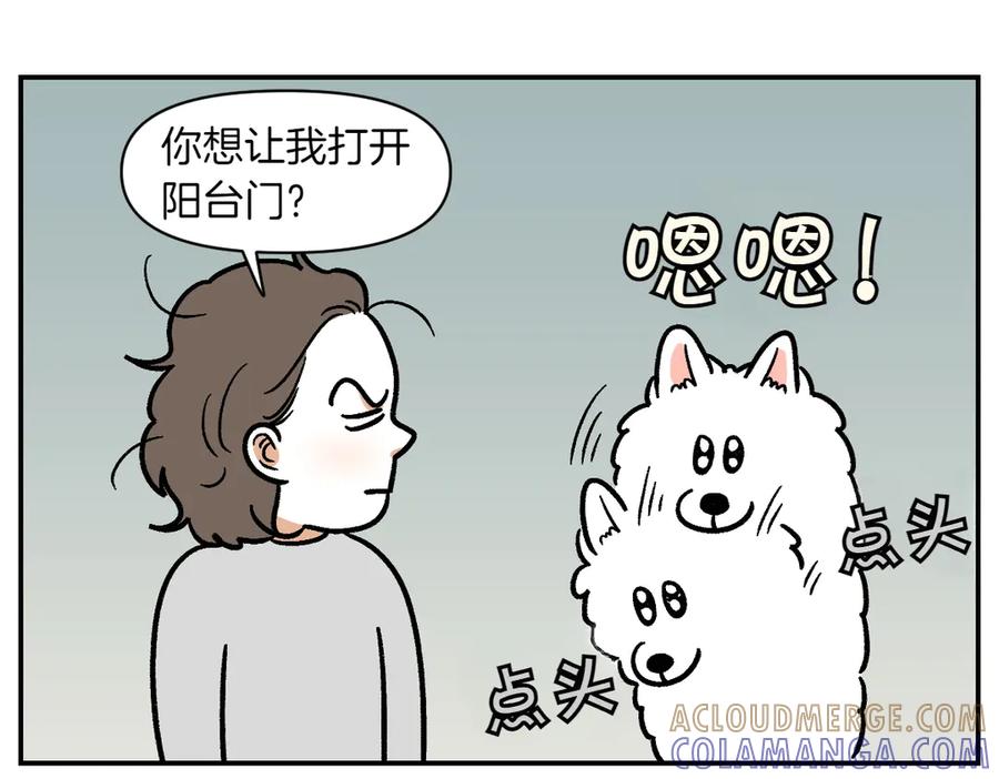 《我的狗子叫棉花》第13话 帮我开阳台门 第16页