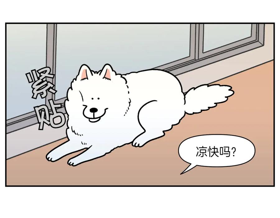 《我的狗子叫棉花》第13话 帮我开阳台门 第20页