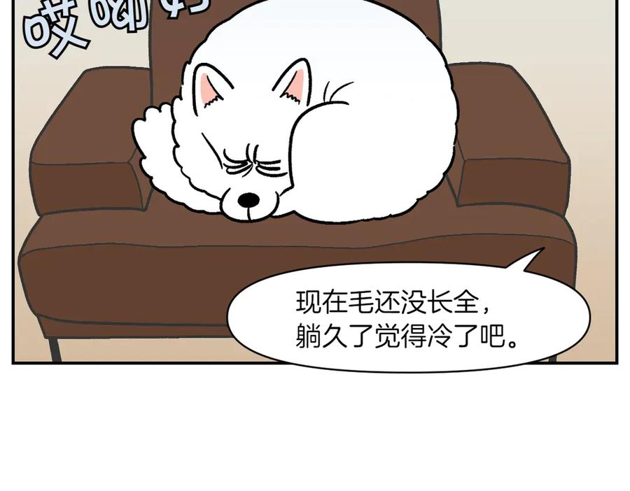 《我的狗子叫棉花》第13话 帮我开阳台门 第47页