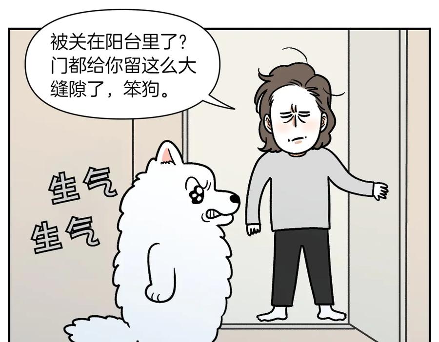《我的狗子叫棉花》第13话 帮我开阳台门 第44页