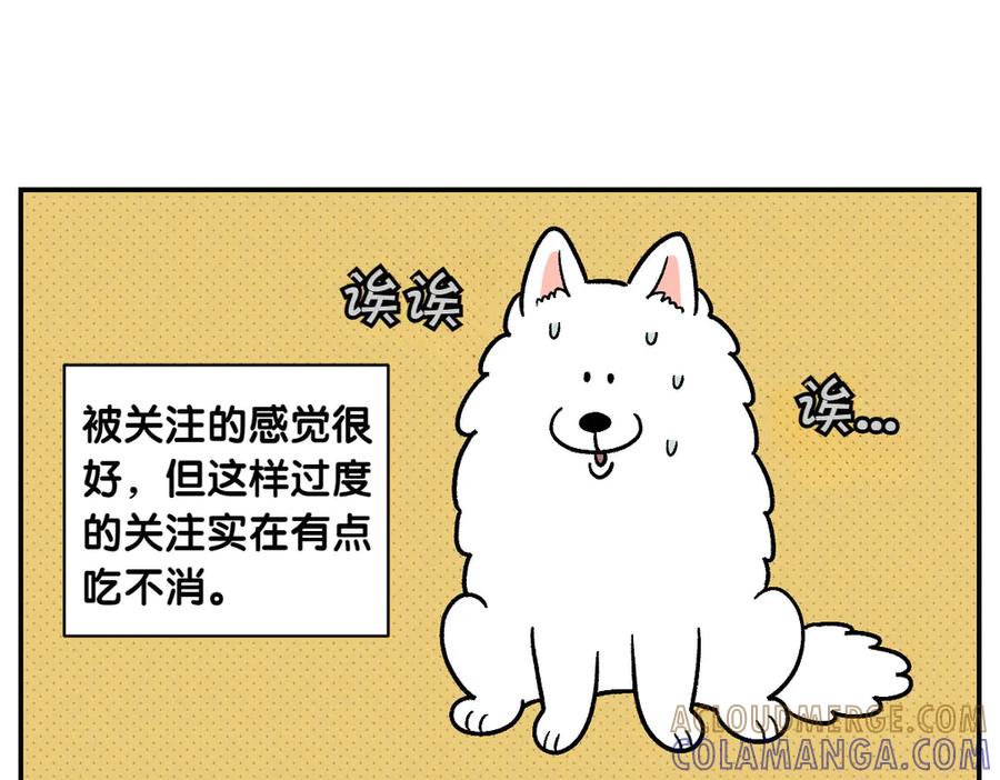 《我的狗子叫棉花》第14话 出版社访问记1 第46页