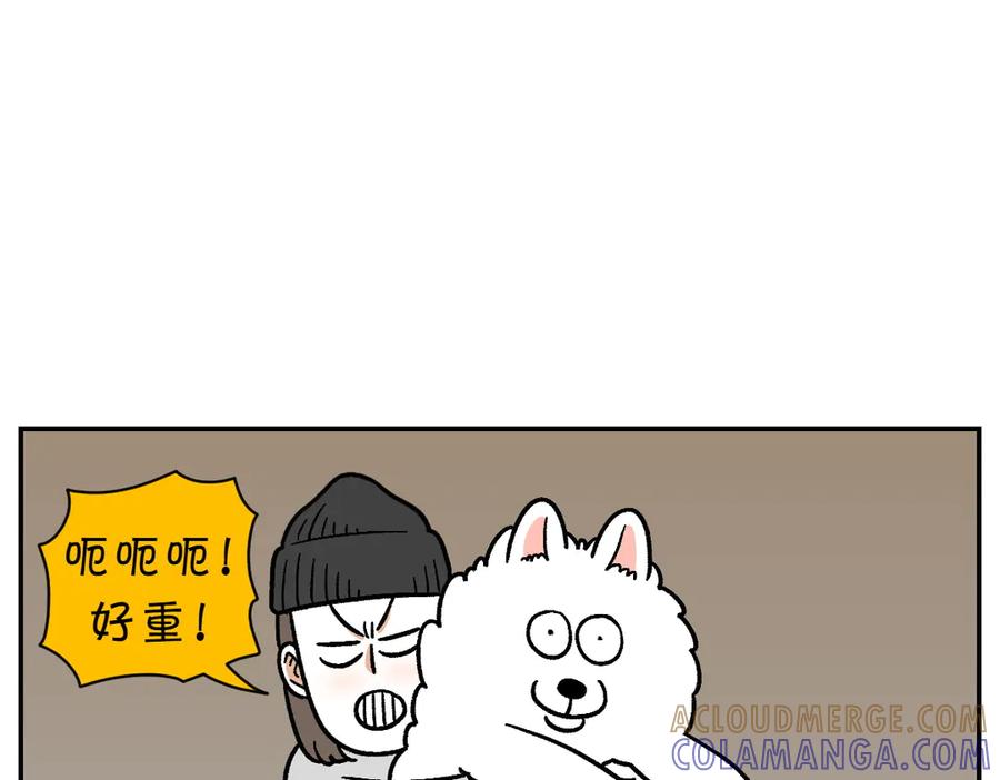 《我的狗子叫棉花》第14话 出版社访问记1 第25页